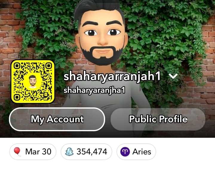 snapchat image
